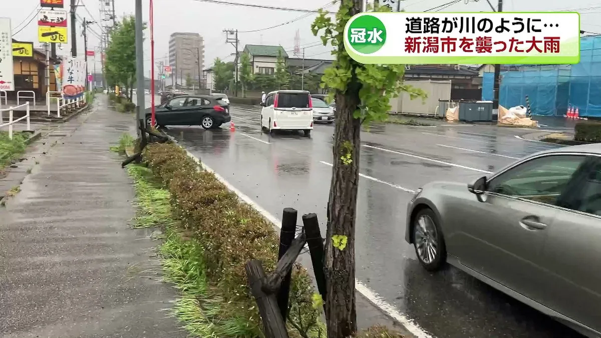 新潟市中心部が冠水、道路は川と化す…歩行者がおんぶで渡る姿も