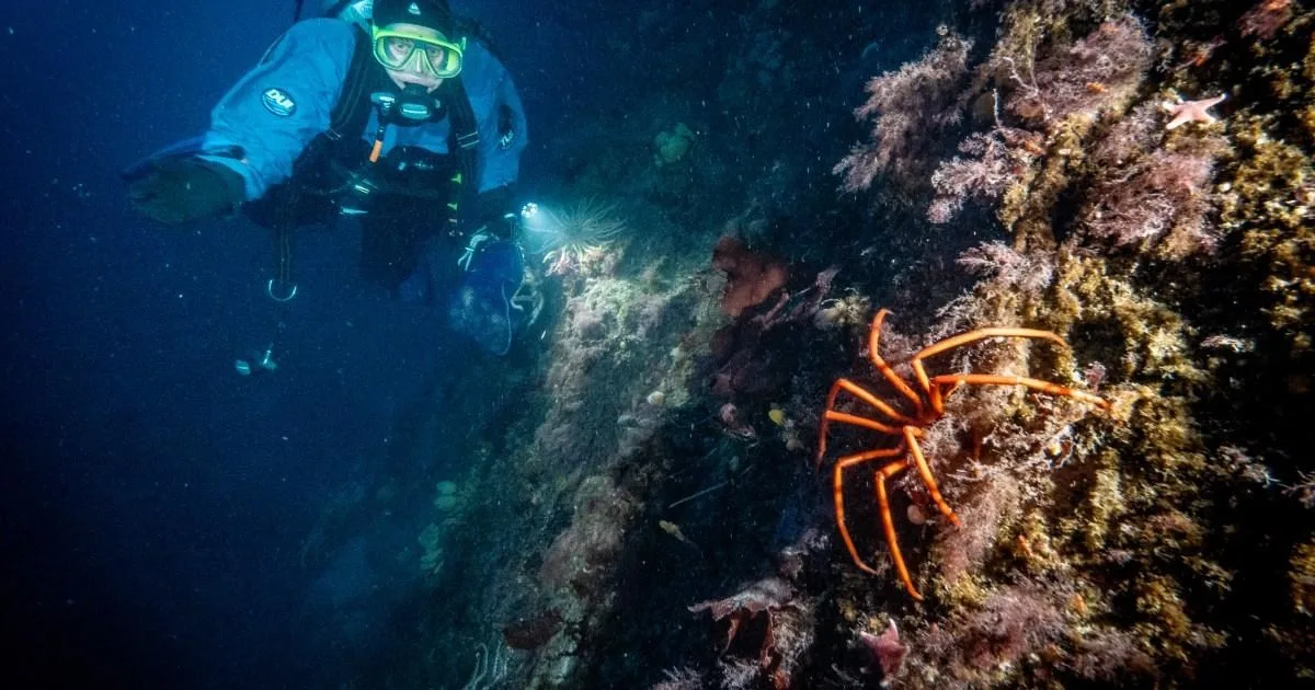 南極の深海生物が皮膚がん治療のカギになるってマジ？